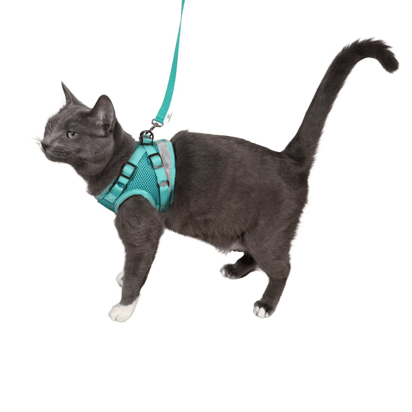 The Jackson Galaxy x Travel Cat Harness & Leash Set
