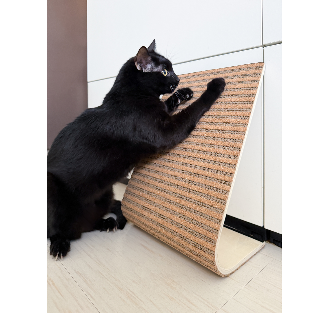 Scratchify! Incline Scratcher by Jackson Galaxy
