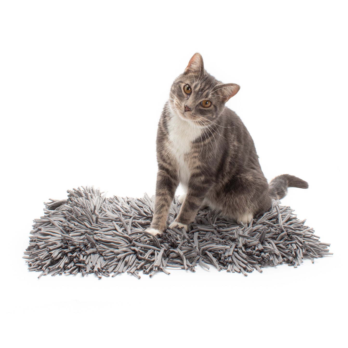 Your Cat's Nose Knows Bundle