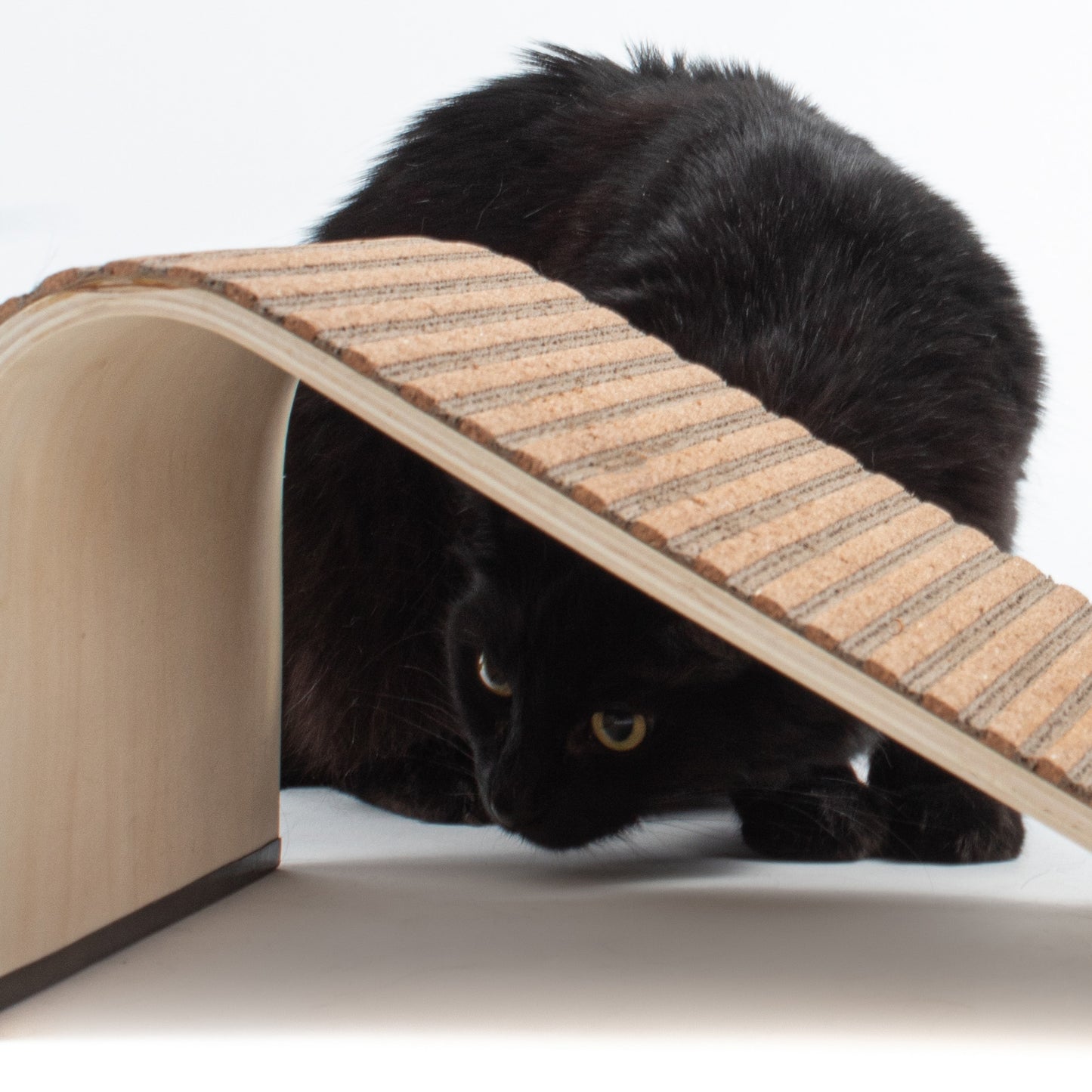 Scratchify! Incline Scratcher by Jackson Galaxy