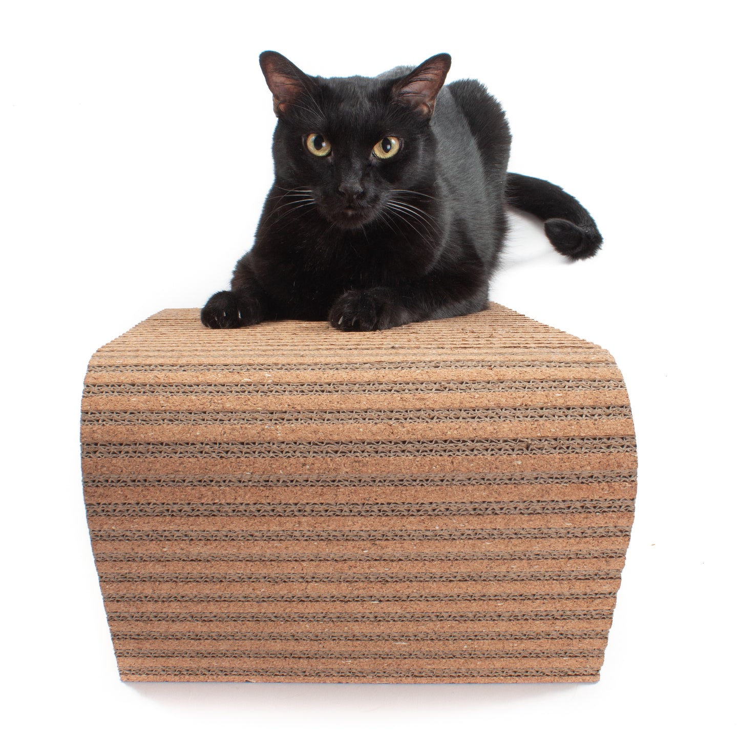 Scratchify! Incline Scratcher by Jackson Galaxy