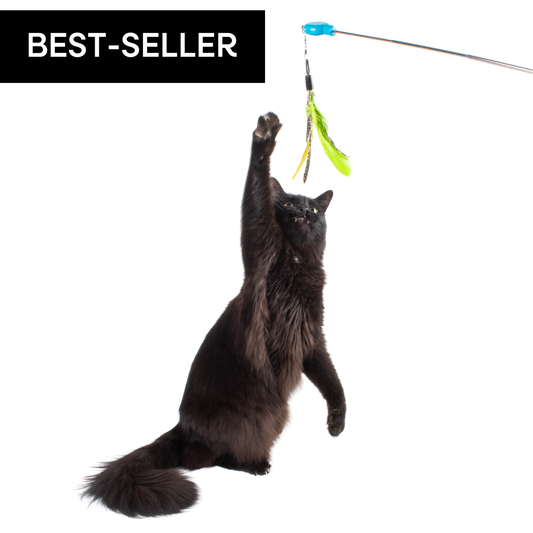 Gotcha! Cat Wand Toy