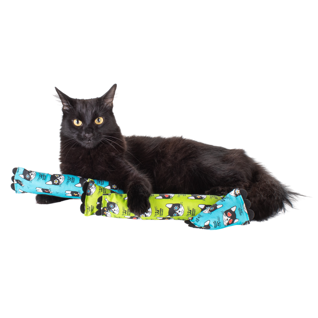 Major Mojo Cat Kicker Cat Toy Stimulates Hunting Instincts Durable Design Organic Catnip Filled Perfect for Active Play Green Jackson Galaxy