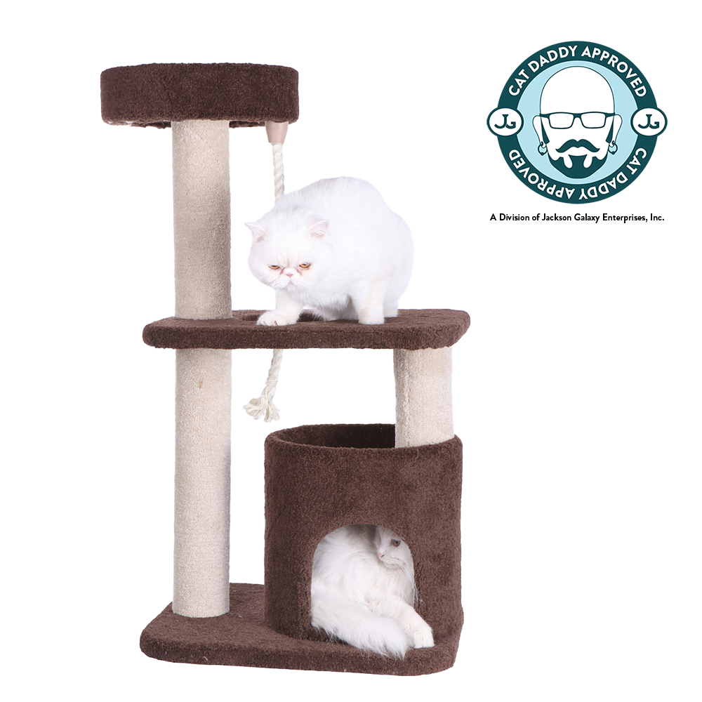 Jackson Galaxy Cat Tree