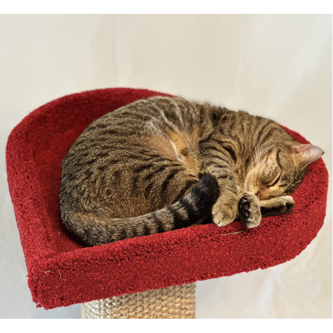 The LoveCat Tower by Square Paws