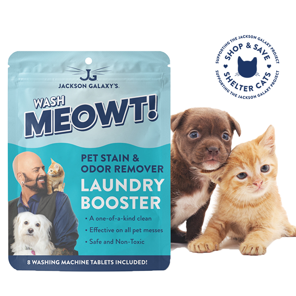 Jackson galaxy pet stain and odor eliminator best sale