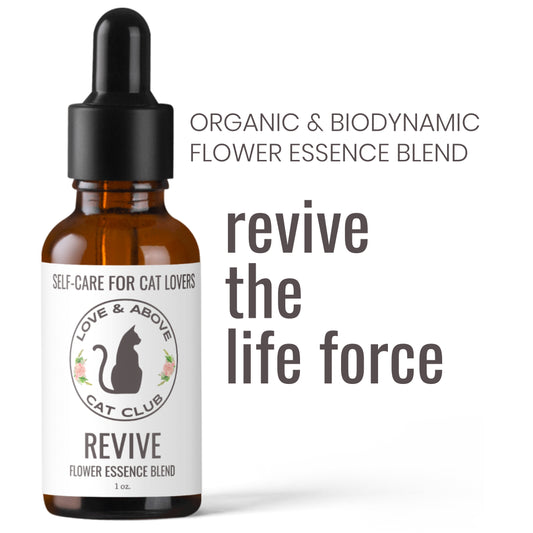 Revive - Rejuvenation for Humans