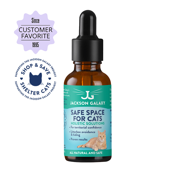 Jackson galaxy cat sales crawl