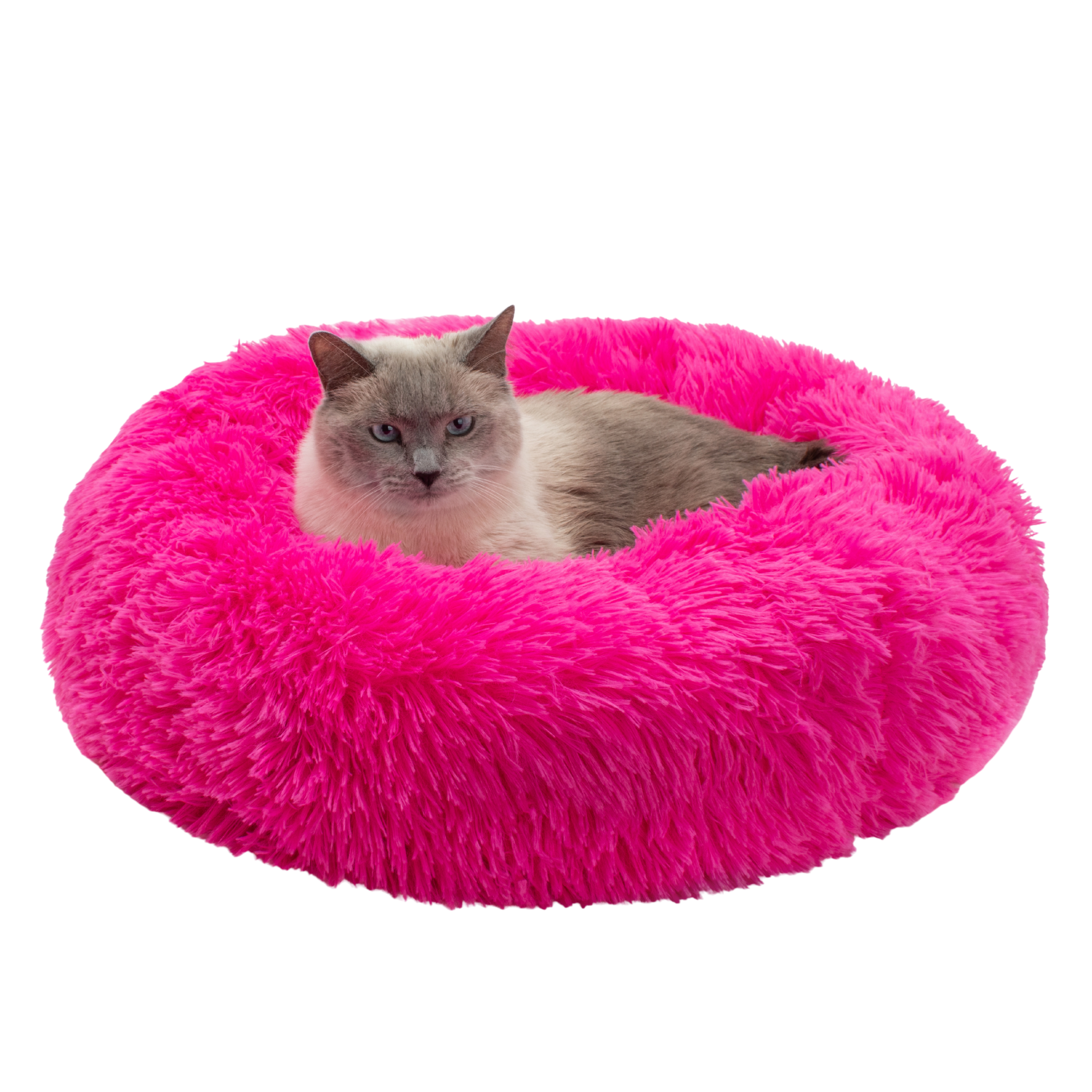 ファンデーション cat Jackson Galaxy