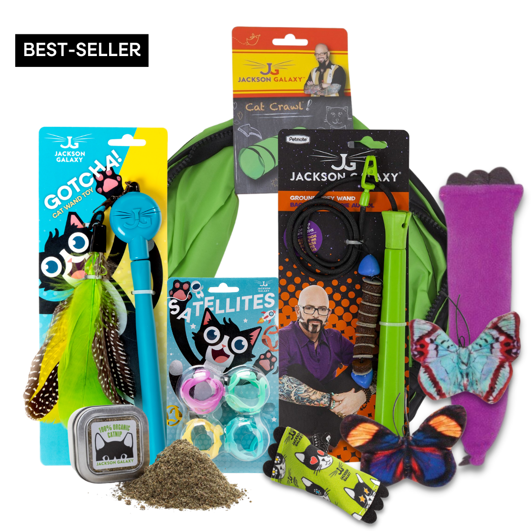 Jackson galaxy toys online