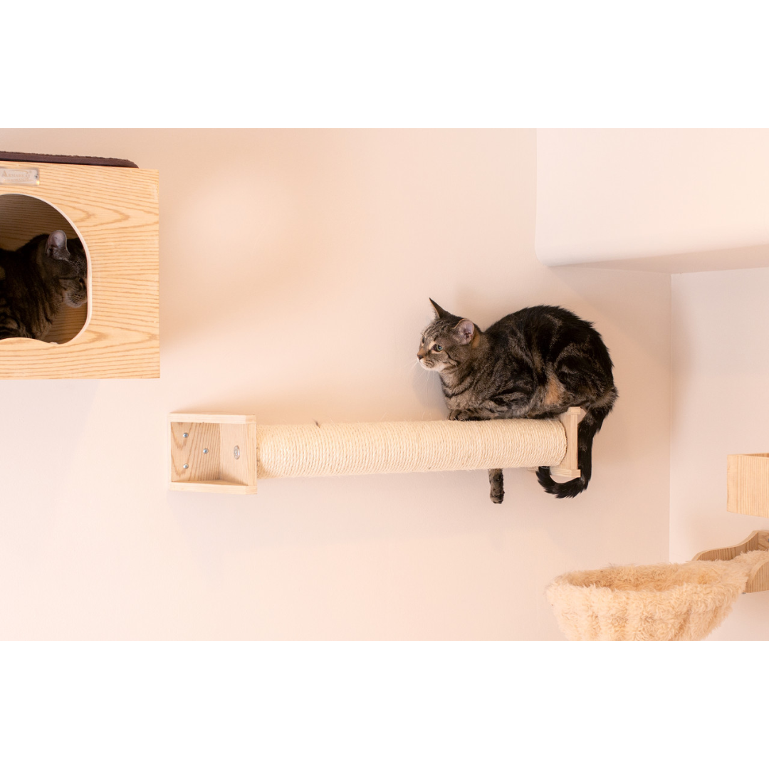 Wall Series: Scratching Post by Armarkat