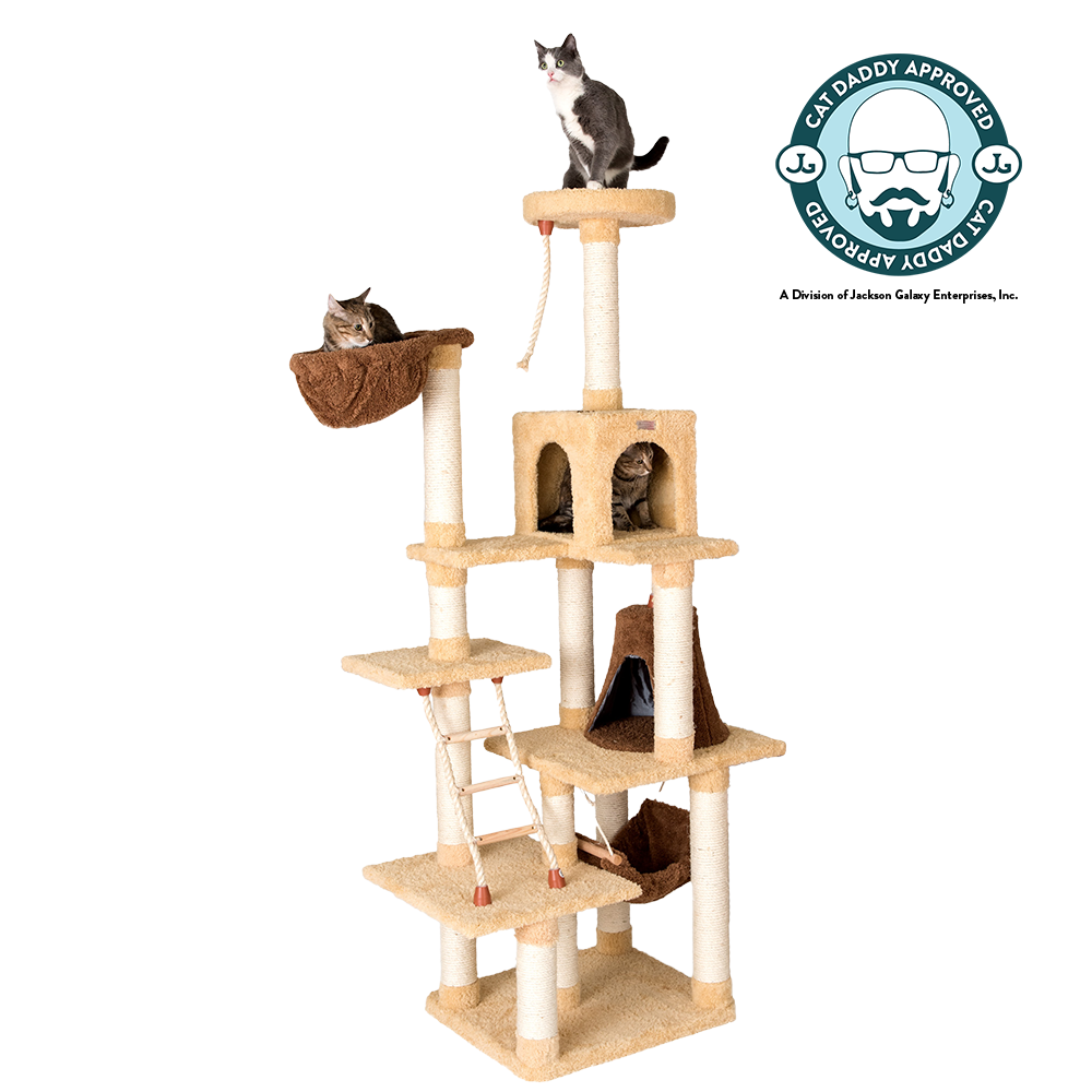 Jackson galaxy cat tree sale