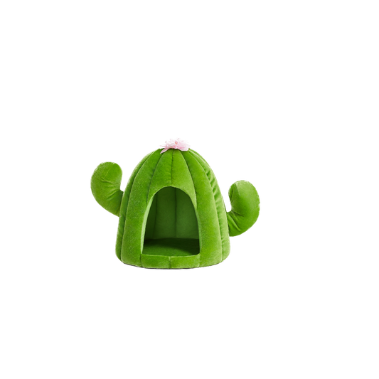 Oasis Cactus Pet Bed by Vetreska