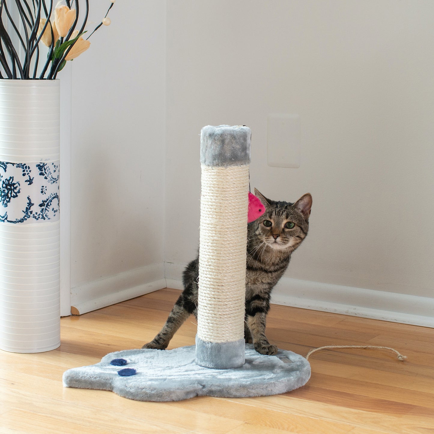 Premium Mouse Shaped Kitten Scratcher by Armarkat