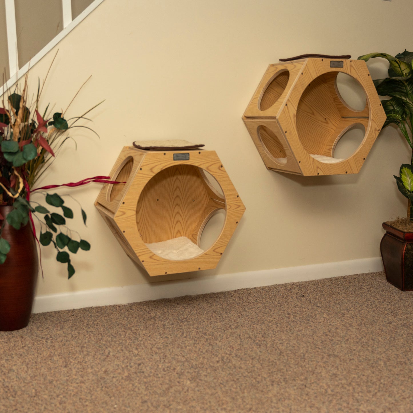Real Wood Wall Series: Natural Wood Wall Tree (Set of 2) by Armarkat