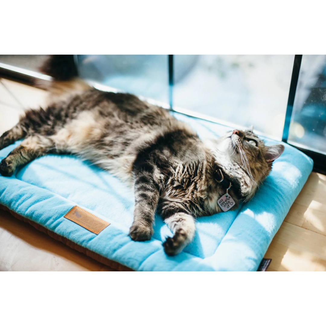 Chill pad online dog bed