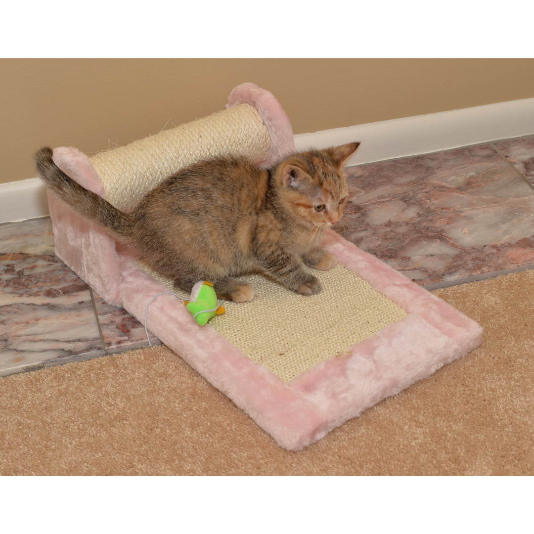 Premium Rolling Kitten Scratcher by Armarkat