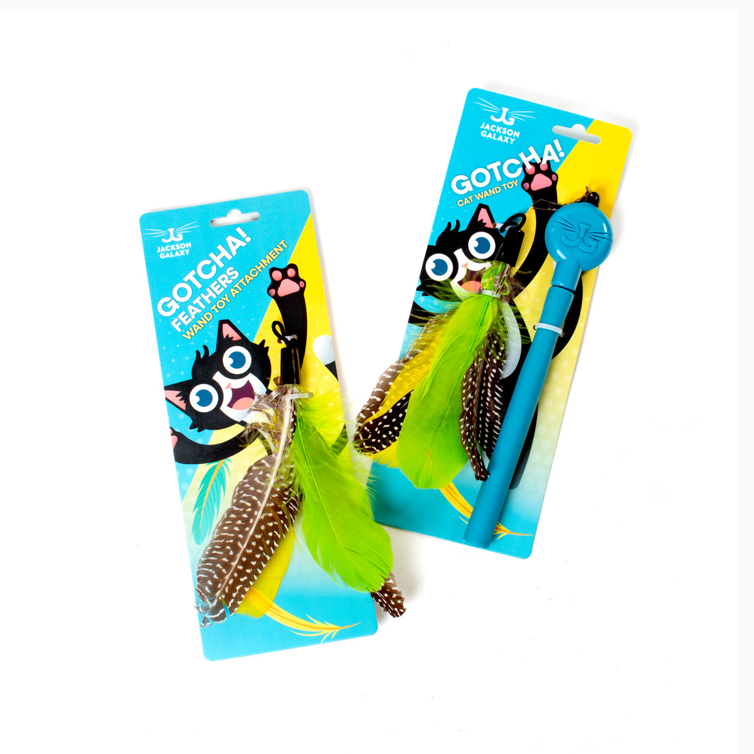 Jackson Galaxy - Main Image