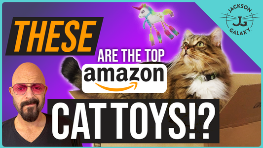 Cat Expert Reviews Bestselling Cat Toys on Amazon!
