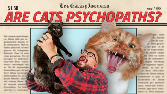 Are Cats Psychopaths?