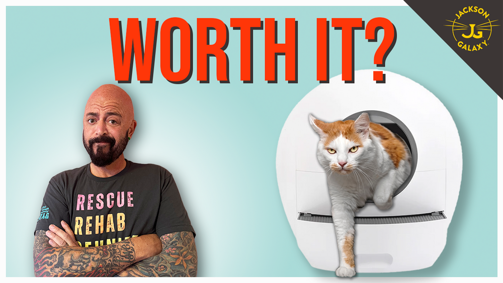 Blogs Page 2 Jackson Galaxy