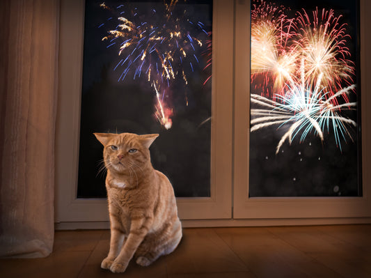 7 Things To Do Before the Fireworks Start (Cat Territory Security Guide)