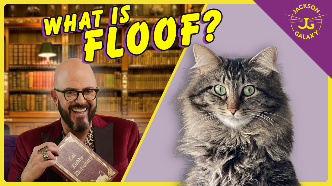 Jackson Galaxy