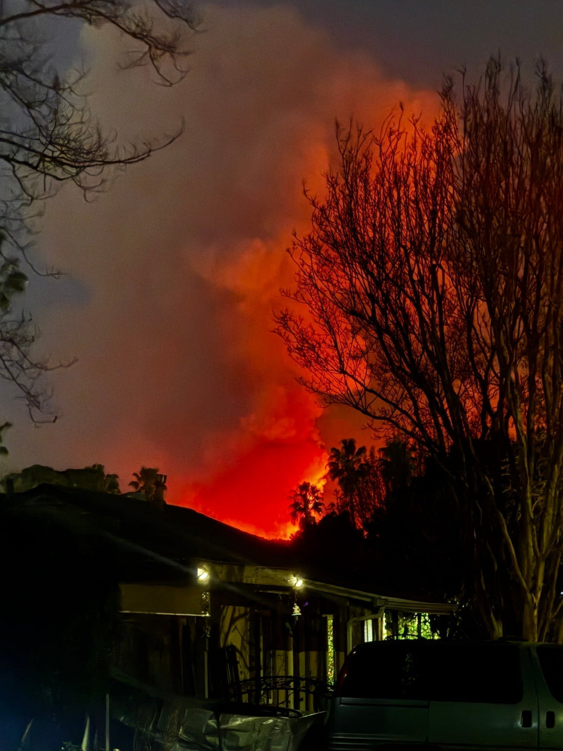 Pet Emergency Evacuation Preparedness: What I’d Do Differently After Living Through a Wildfire
