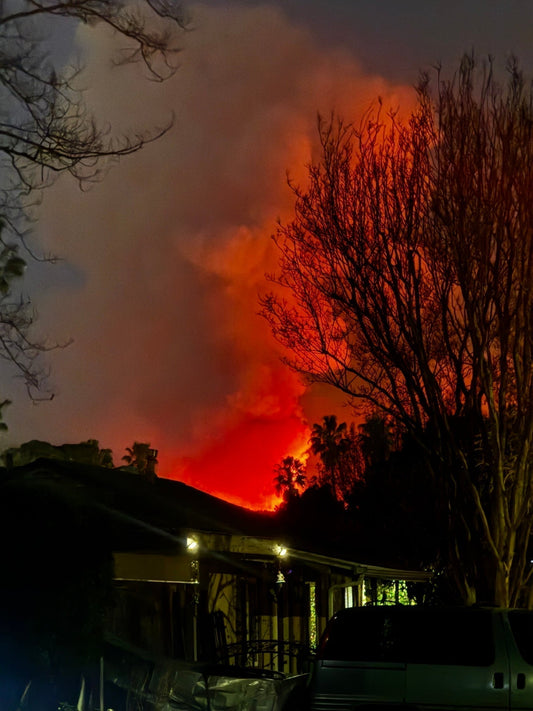 Pet Emergency Evacuation Preparedness: What I’d Do Differently After Living Through a Wildfire