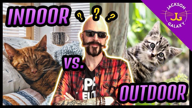The Ultimate Debate: Outdoor vs. Indoor Go-Karting