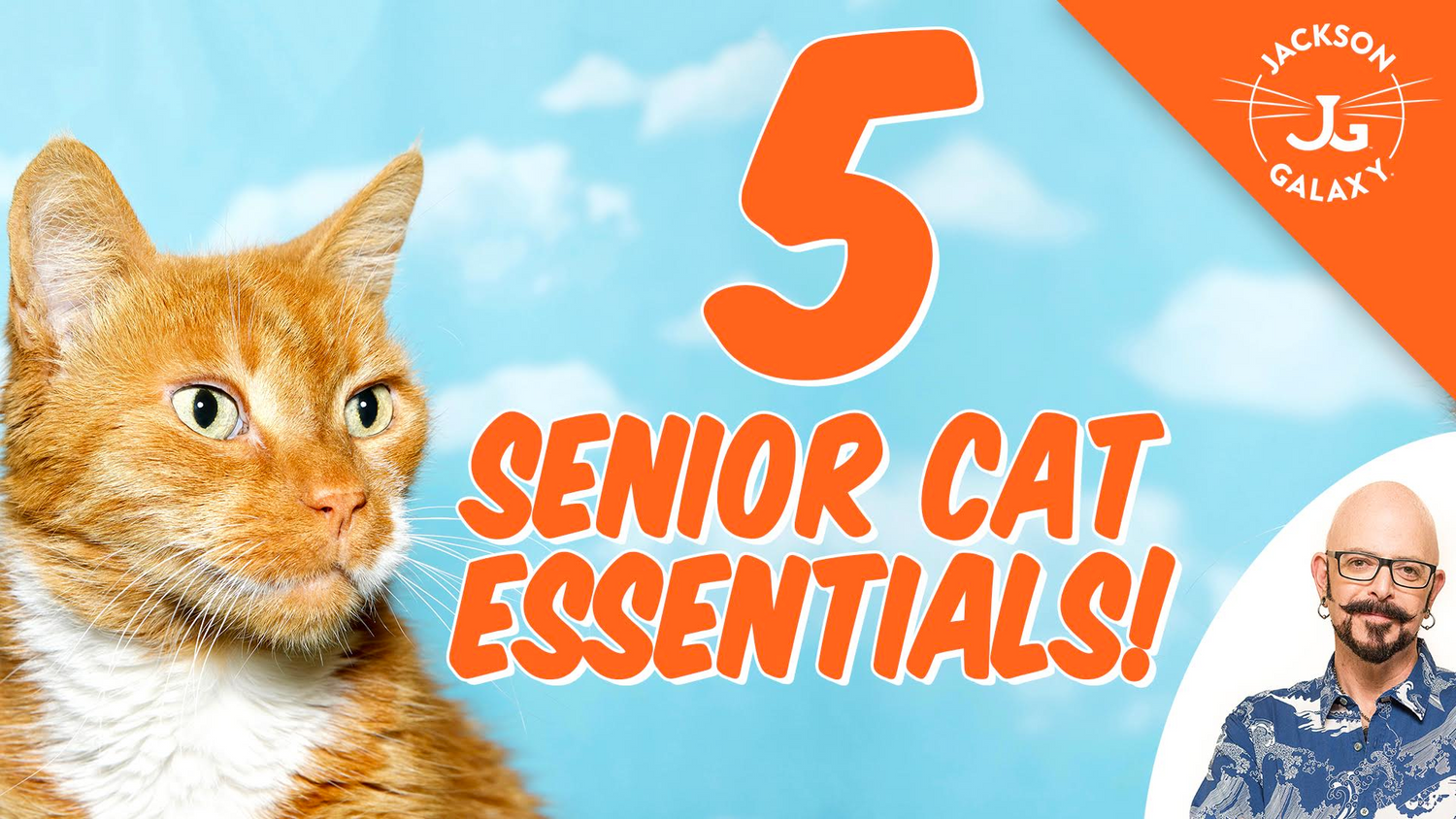 5 Senior Cat Essentials! Jackson Galaxy