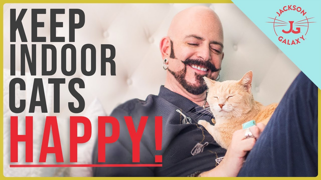 Jackson Galaxy