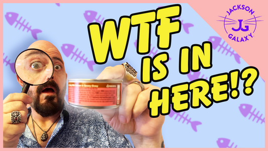 How to Read Cat Food Labels