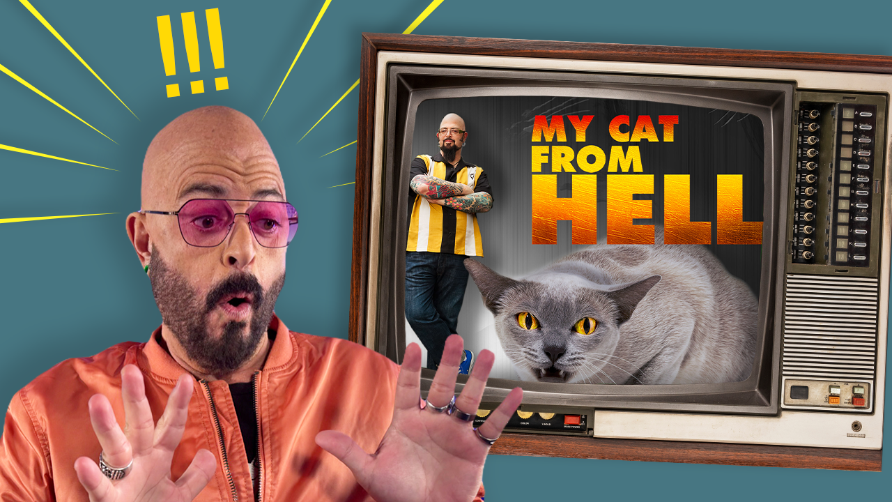 Jackson Reacts: My Cat From Hell Commentary