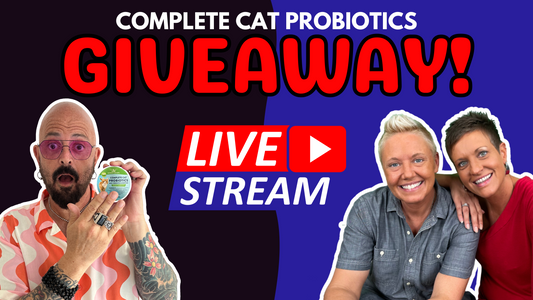 Live Stream with the Two Crazy Cat Ladies - Let's Talk Probiotics