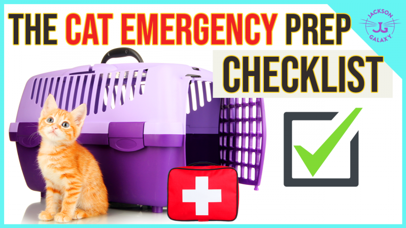 The Cat Emergency Prep Checklist