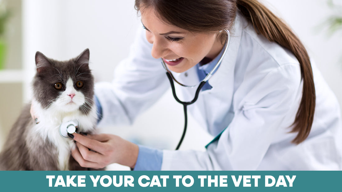 Take Your Cat to the Vet Day