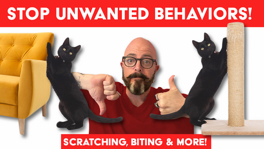 Stop Unwanted Behavior