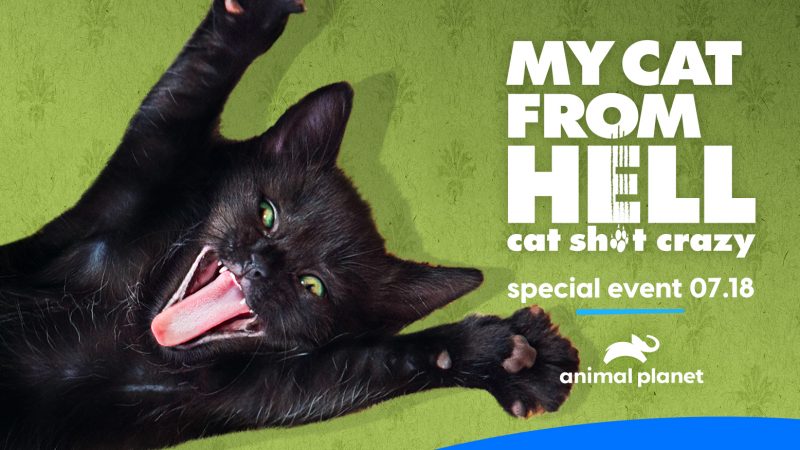 Special Episode of My Cat from Hell Premieres this Saturday, July 18th on Animal Planet