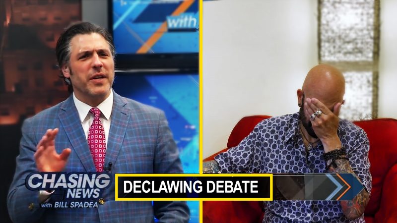 Declawing Debate – Jackson’s Response