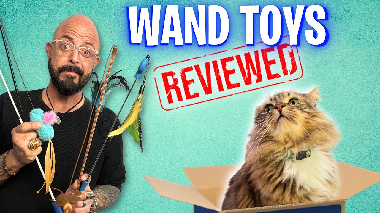Reviewing the Top Interactive Cat Toys!