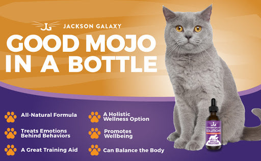 Jackson Galaxy Solutions & Holistic Wellness for your Animal Family