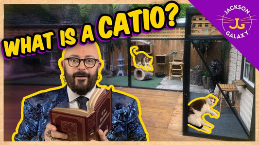 WHAT IS A CATIO?