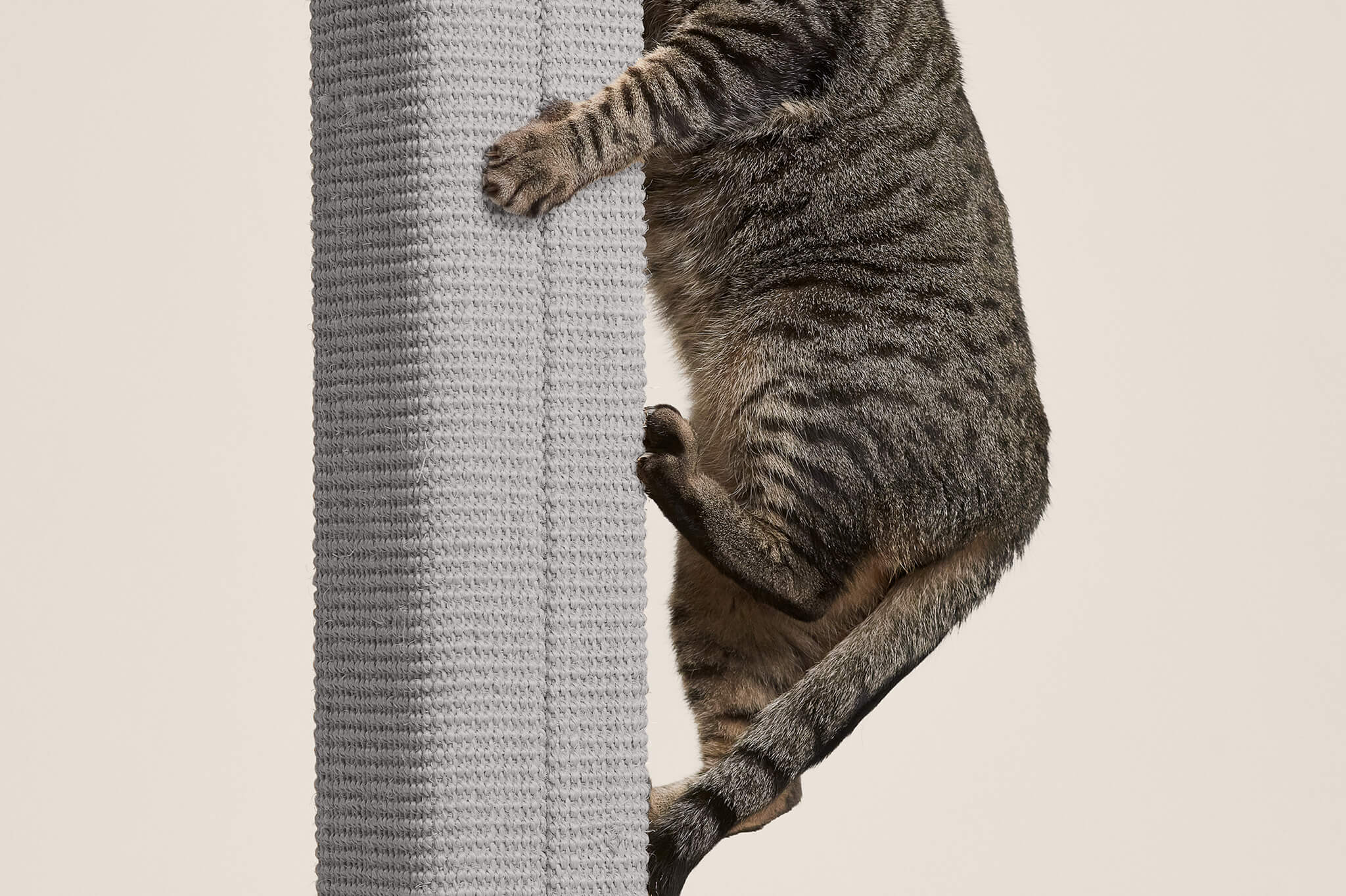 Zip Scratching Post – Jackson Galaxy
