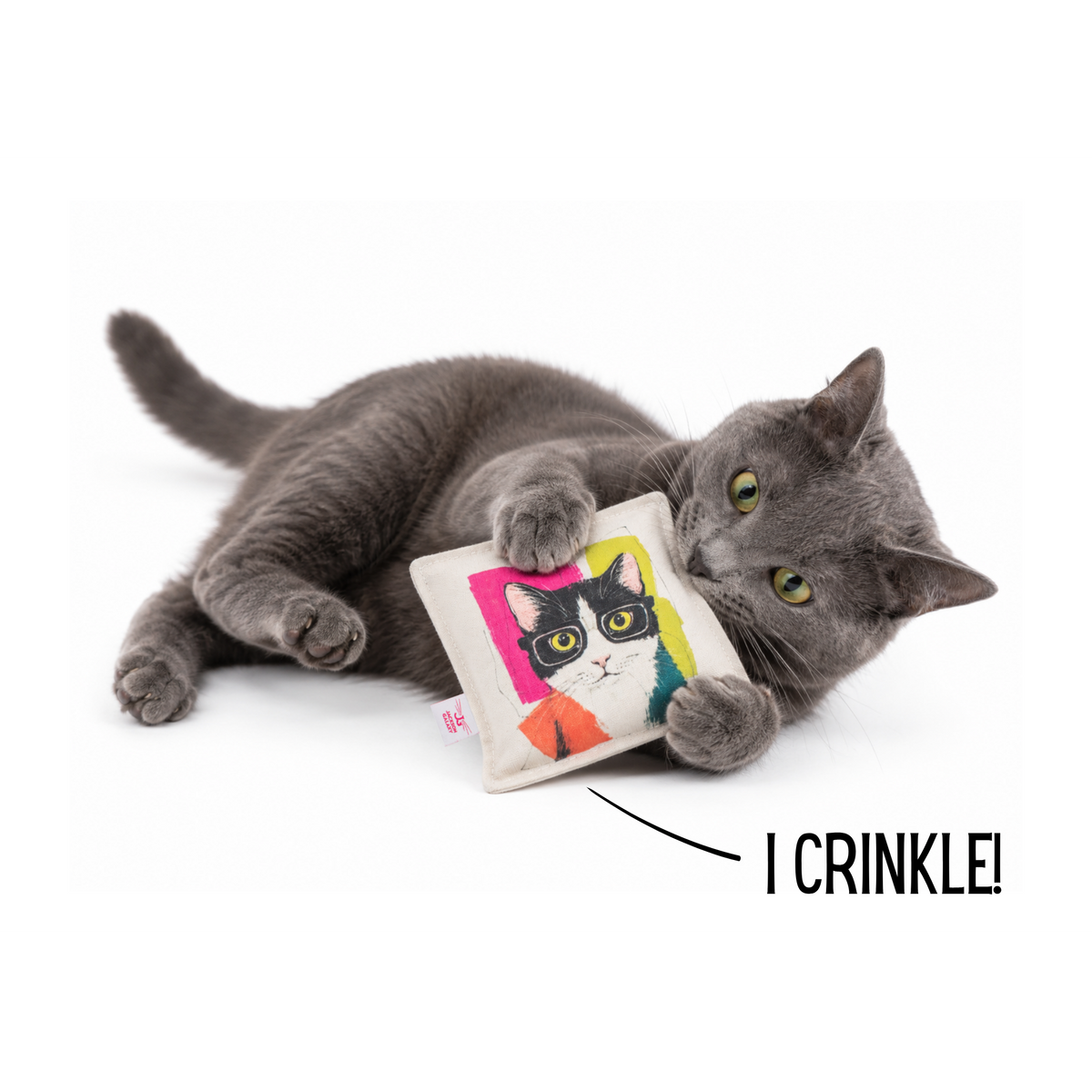 Cat Nerd Pop Art Crinkle Square - Limited Edition Toy Collection by Jackson Galaxy