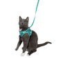 The Jackson Galaxy x Travel Cat Harness & Leash Set