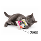 Cat Nerd Pop Art Bundle - Limited Edition Toy Collection by Jackson Galaxy