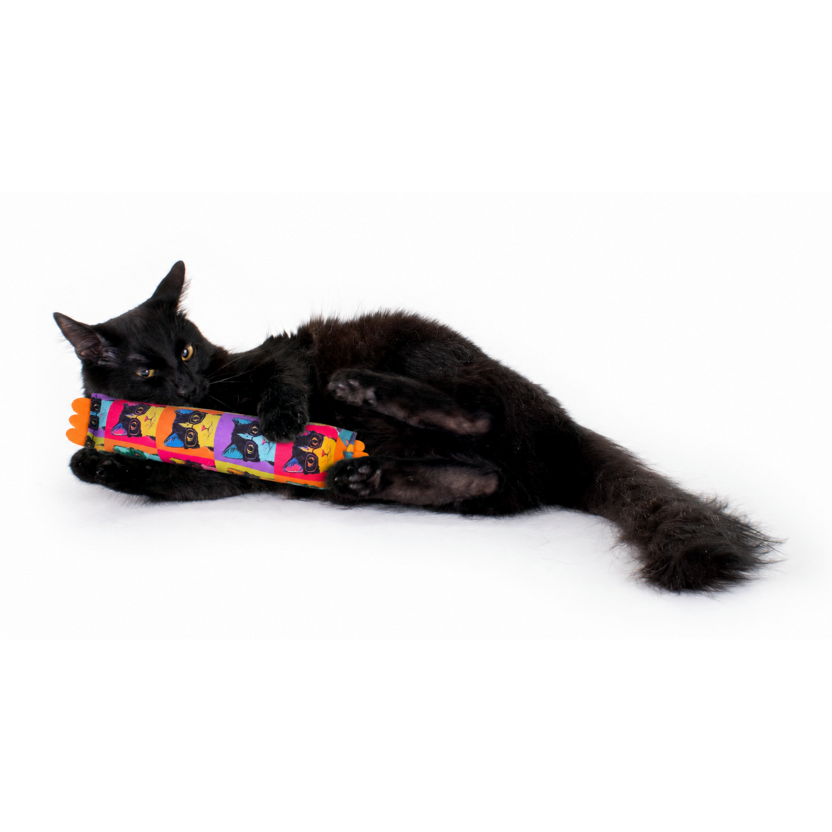 Cat Nerd Pop Art Bundle - Limited Edition Toy Collection by Jackson Galaxy