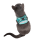 The Jackson Galaxy x Travel Cat Harness & Leash Set