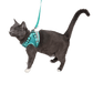 The Jackson Galaxy x Travel Cat Harness & Leash Set